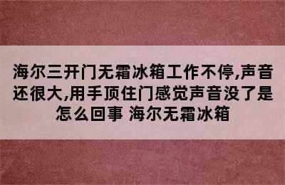 海尔三开门无霜冰箱工作不停,声音还很大,用手顶住门感觉声音没了是怎么回事 海尔无霜冰箱